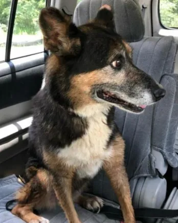 Ellie Mae