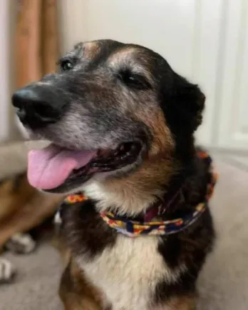 Ellie Mae