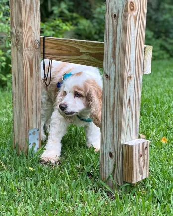 Liam outside