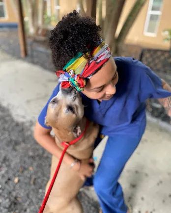 Milo with vet tech