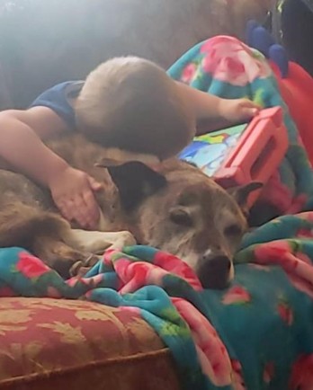 dog snuggling with child
