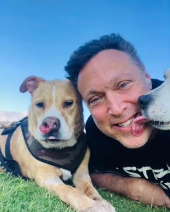 pit bull dog and man laying in grass