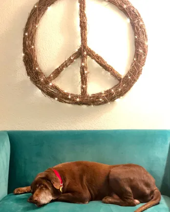 black lab laying under wooden peace sign