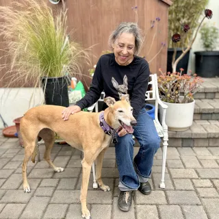 Woman with greyhound