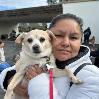 White dog held by person