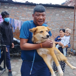 Man carrying injured dog