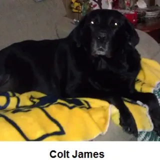 Colt James