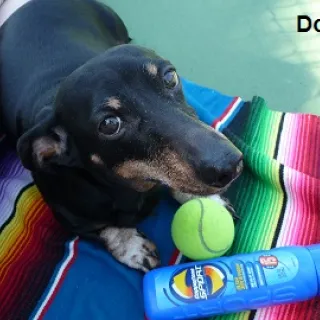Doris