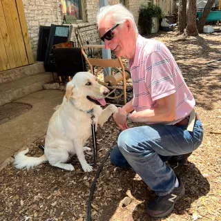 dog and man shaking hand/ paw