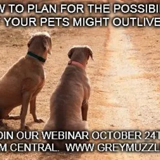 Webinar Ad