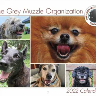 Grey Muzzle 2022 Calender 