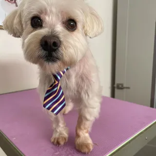 Friday with tie