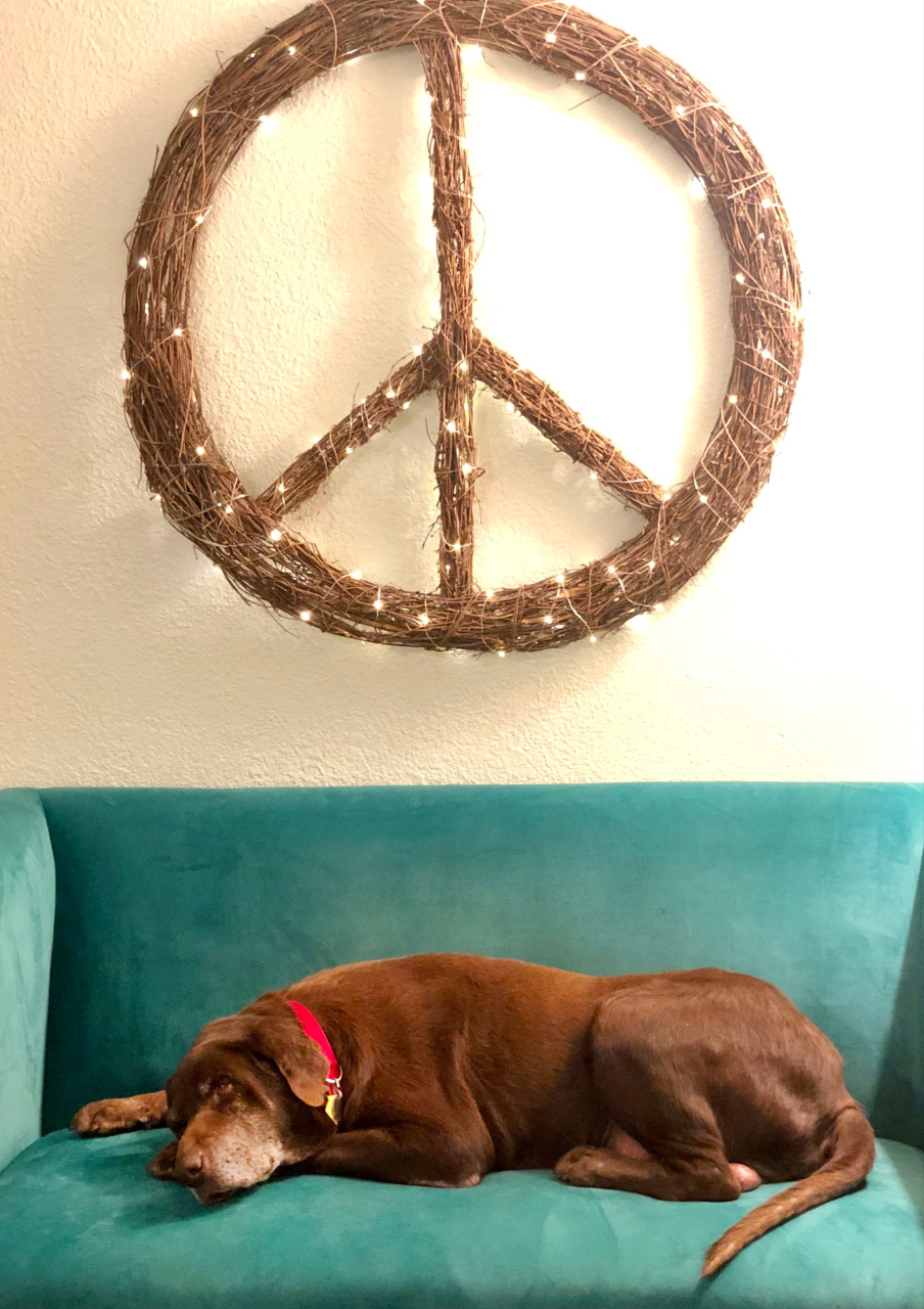 black lab laying under wooden peace sign